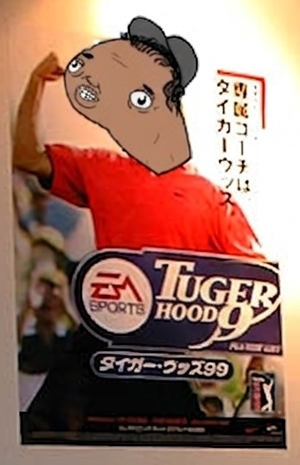 Tuger Hood 9 poster